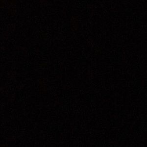 Meet your Posher, Darren